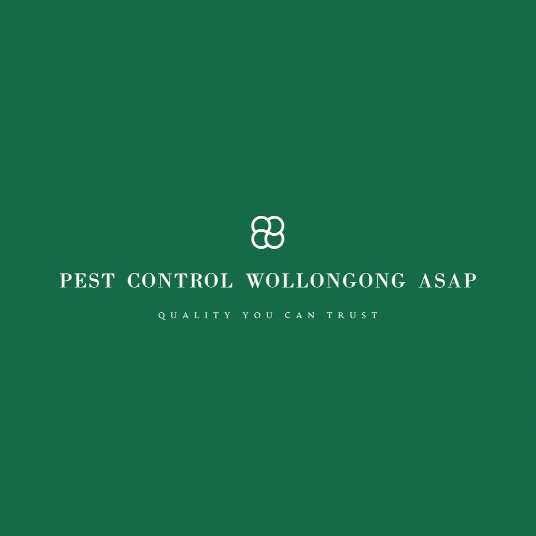 Pest Control Wollongong Asap